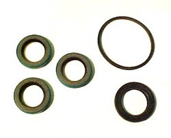 LOWER UNIT SEAL KIT