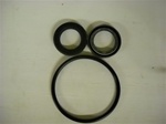 LOWER UNIT SEAL KIT