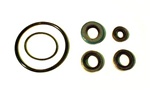 LOWER UNIT SEAL KIT