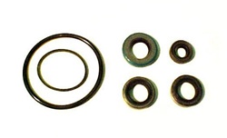 LOWER UNIT SEAL KIT