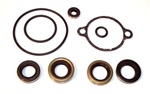 LOWER UNIT SEAL KIT