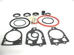 LOWER UNIT SEAL KIT