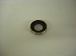 OIL SEAL