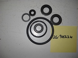 LOWER UNIT SEAL KIT