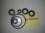 LOWER UNIT SEAL KIT