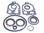 LOWER UNIT SEAL KIT