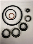 LOWER UNIT SEAL KIT