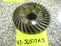 FORWARD GEAR ASSY