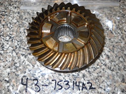 FORWARD GEAR ASSY