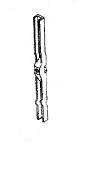 Linkage